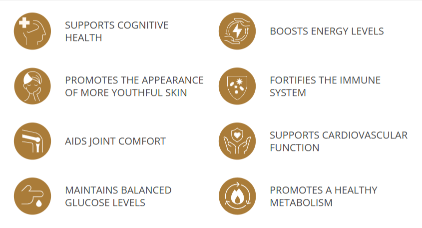 Benefits of Longevity Activator