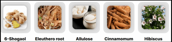 Glucovy ingredients