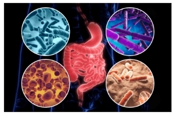 Gut Go Benefits