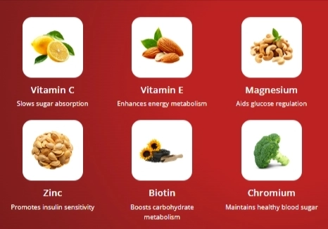VitaSeal Ingredients